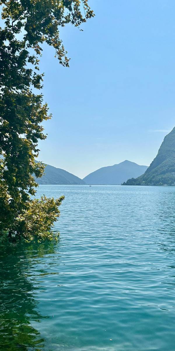 Seen